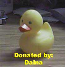 duck2.jpg (12854 bytes)